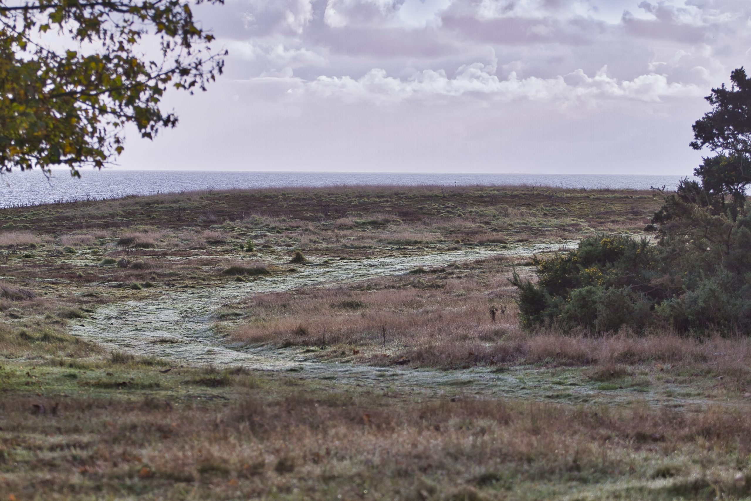 Suffolk Go Wild - TPR EVENTS